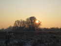 Picture Sun and Ice 2